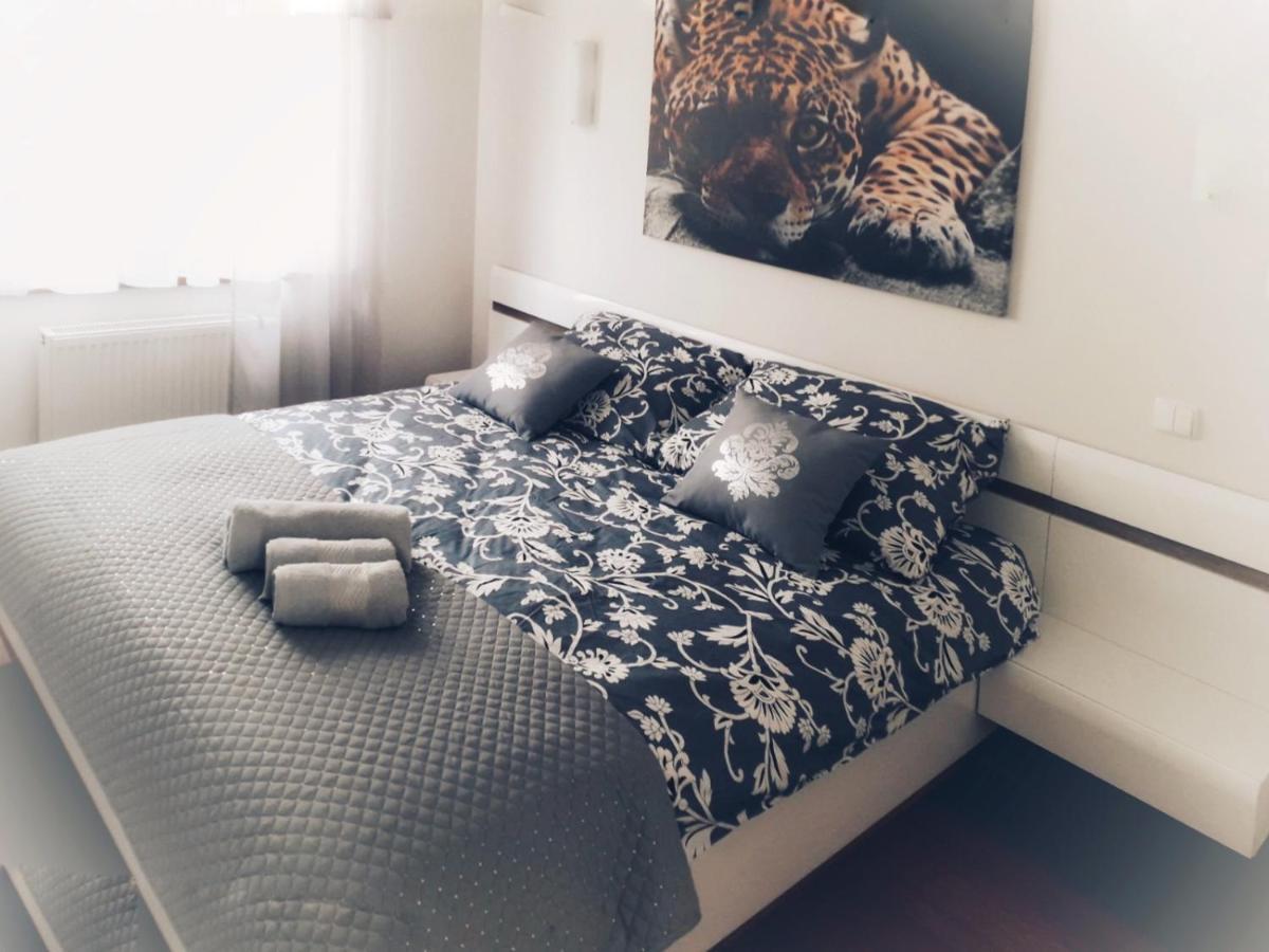 Апартаменты Apartament Sloneczny Элк Экстерьер фото